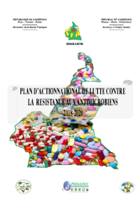 Cameroon: National action plan against antimicrobial resistance 2018-2020 (French)