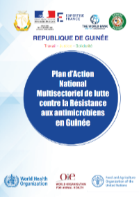 Guinea: Multisectoral national action plan against antimicrobial resistance 2020-2024 (French)