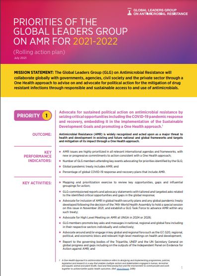 Priorities of the Global Leaders Group on AMR for 2021-2022