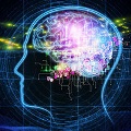 artificial-intelligence-flickr-310px image of brain