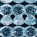 Japanese art