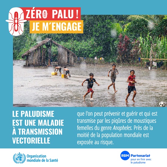 Le paludisme est une maladie à transmission vectorielle