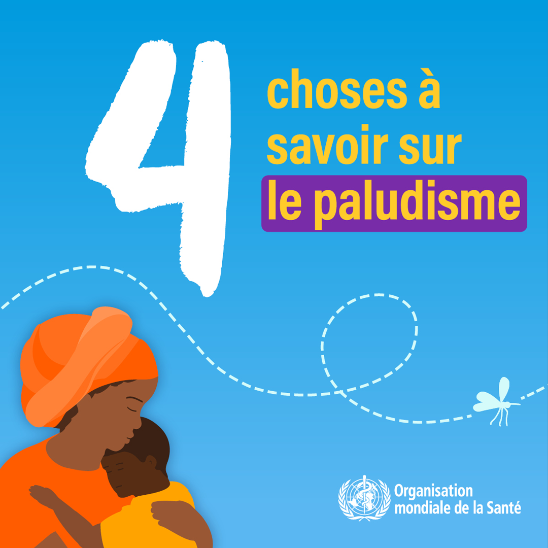 4 choses à savoir sur le paludisme