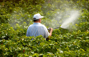 pesticides_WHO
