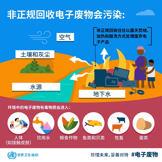 Infographic: informal e-waste recycling can pollute and contaminate