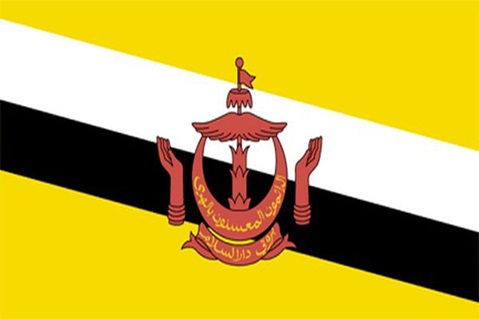 brn Official flag of Brunei Darussalam