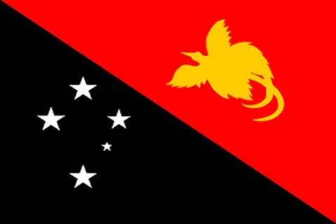 png Official flag of Papua New Guinea