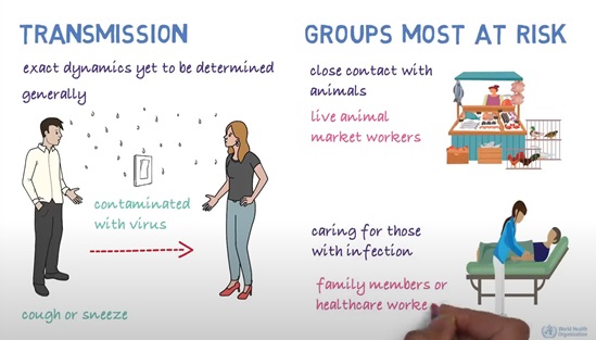 Cover image of video on Novel coronavirus (2019-nCoV)