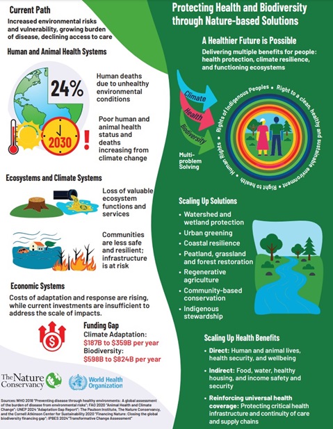 Infographic: Protecting Health and Biodiversity through Nature-based Solutions