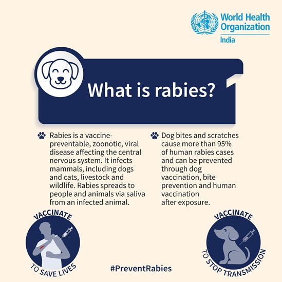 What is rabies