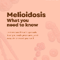 Melioidosis information