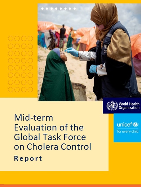 Mid-term Evaluation of the Global Task Force on Cholera Control: Report