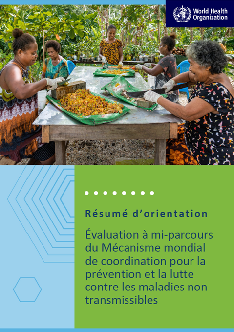 Évaluation à mi-parcours du Mécanisme mondial de coordination pour la prévention et la lutte contre les maladies non transmissibles: Résumé d’orientation