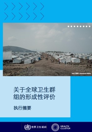 关于全球卫生群组的形成性评价: 执行摘要