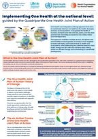 Implementating the national level guide by OH JPA thumbnail cover