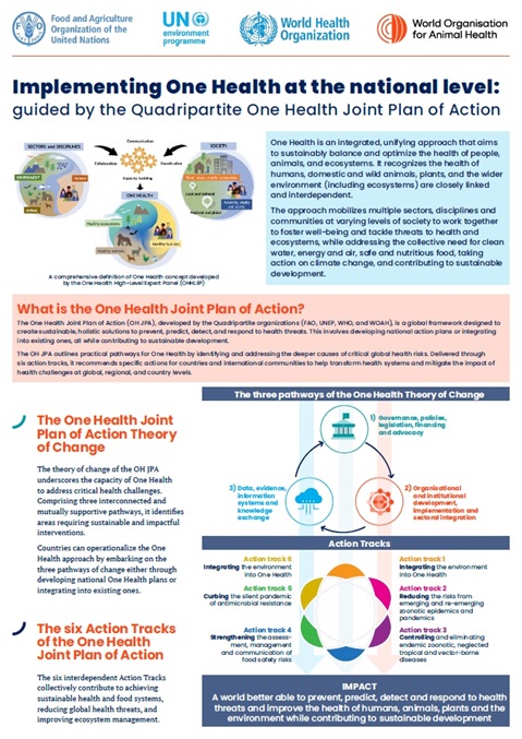 Factsheet: Implementing the One Health Joint Plan of Action at national level