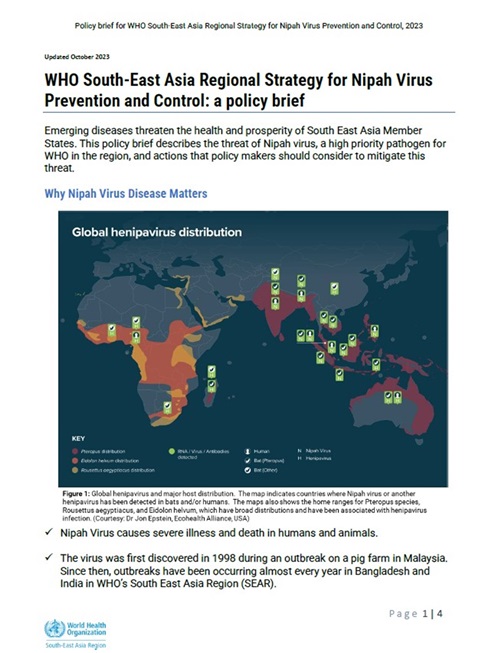 WHO South-East Asia Regional Strategy for Nipah Virus Prevention and Control: a policy brief