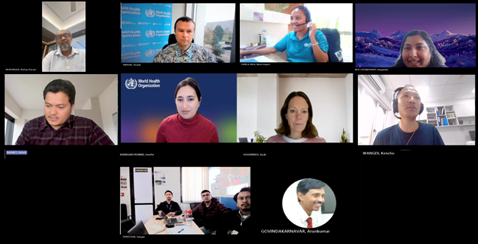 Participant D1 of the virtual SEAR PIP PC Kick-Off Meeting 2026