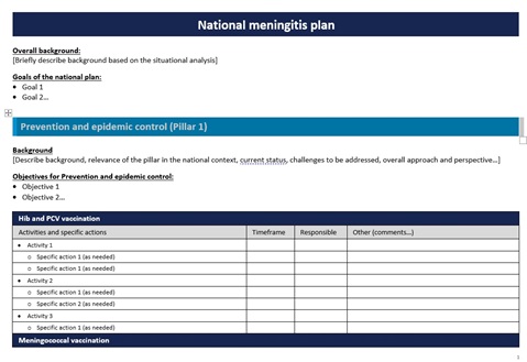 Template for national meningitis plan