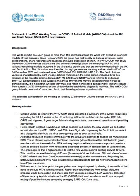 Statement of the WHO Working Group on COVID-19 Animal Models (WHO-COM) about the UK and South African SARS-CoV-2 new variants