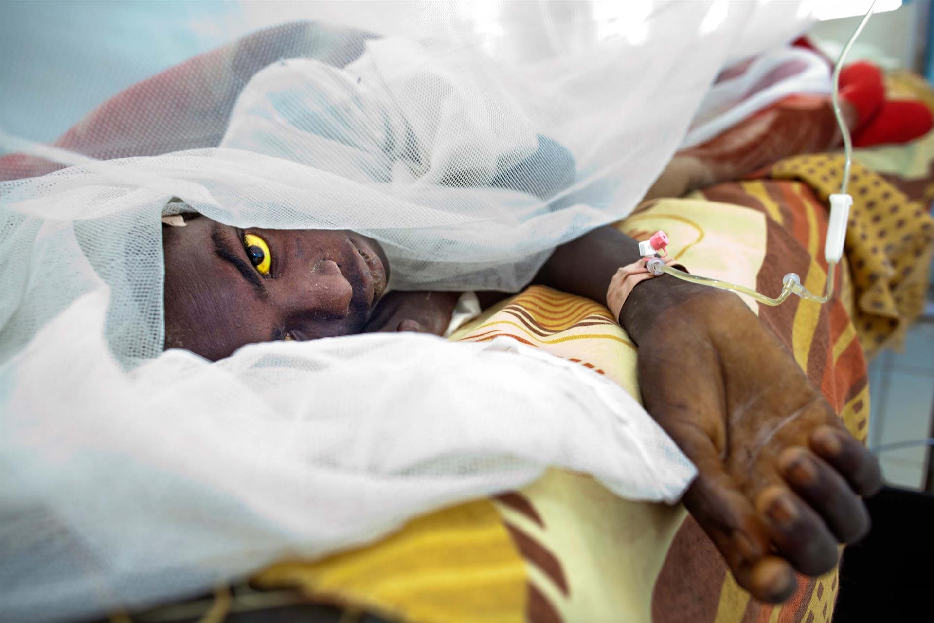 Yellow Fever in Darfur Sudan (credit Albert González Farran)