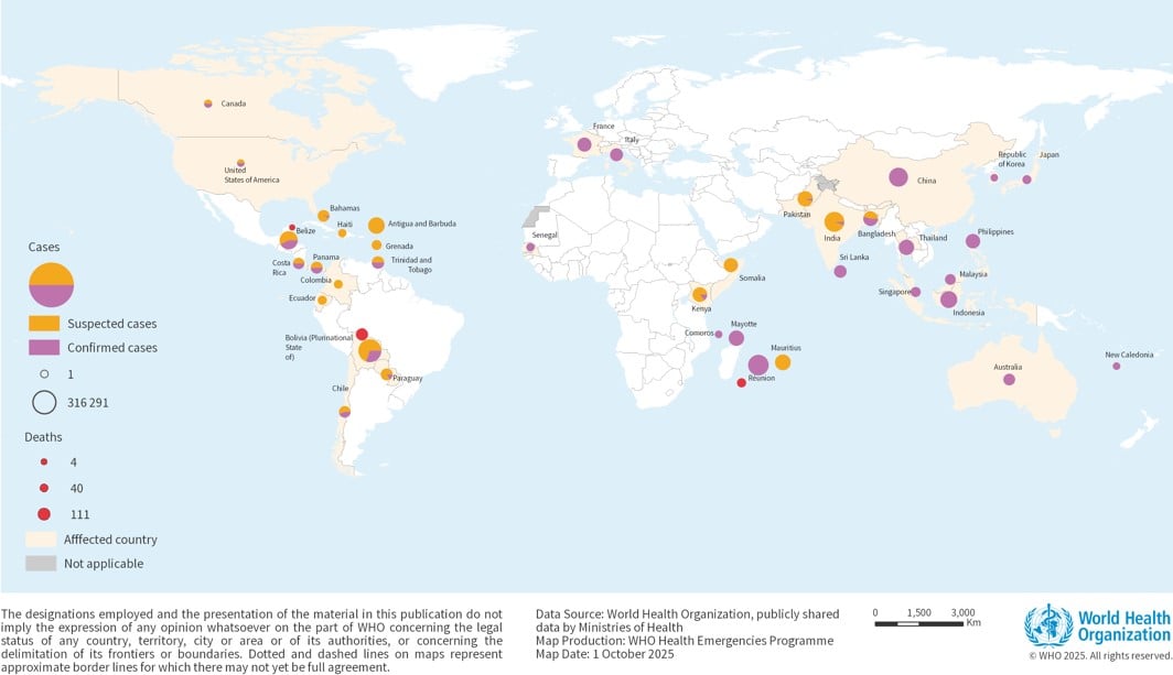 CHIKV disease cases and deaths CHIKV disease cases and deaths