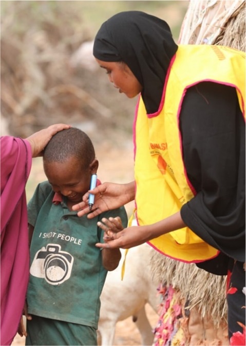Somalia: WHO Health Emergency Appeal 2024