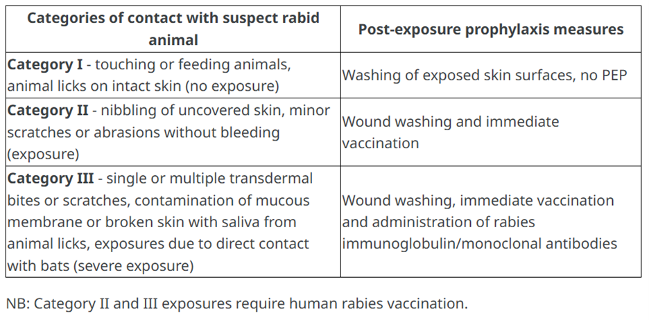 Rabies 狂犬病