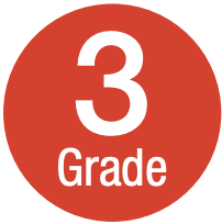 grade 3 grade 3