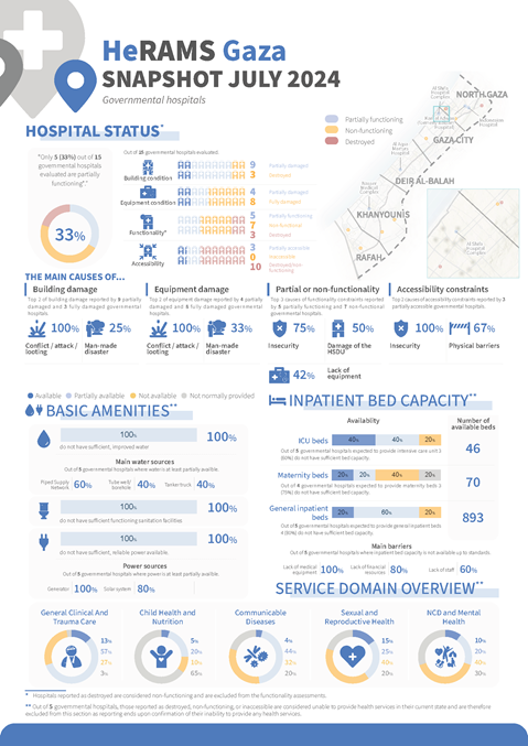 HeRAMS occupied Palestinian territory: Gaza snapshot July 2024 - governmental hospitals