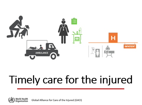 GACI advocacy slide deck: Timely care for the injured