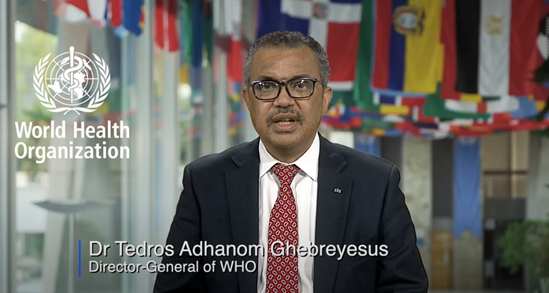 thumbnail of DG video