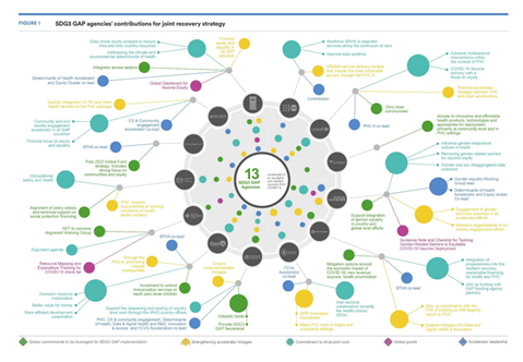SDG3 GAP Agencies’ contributions for joint recovery strategy