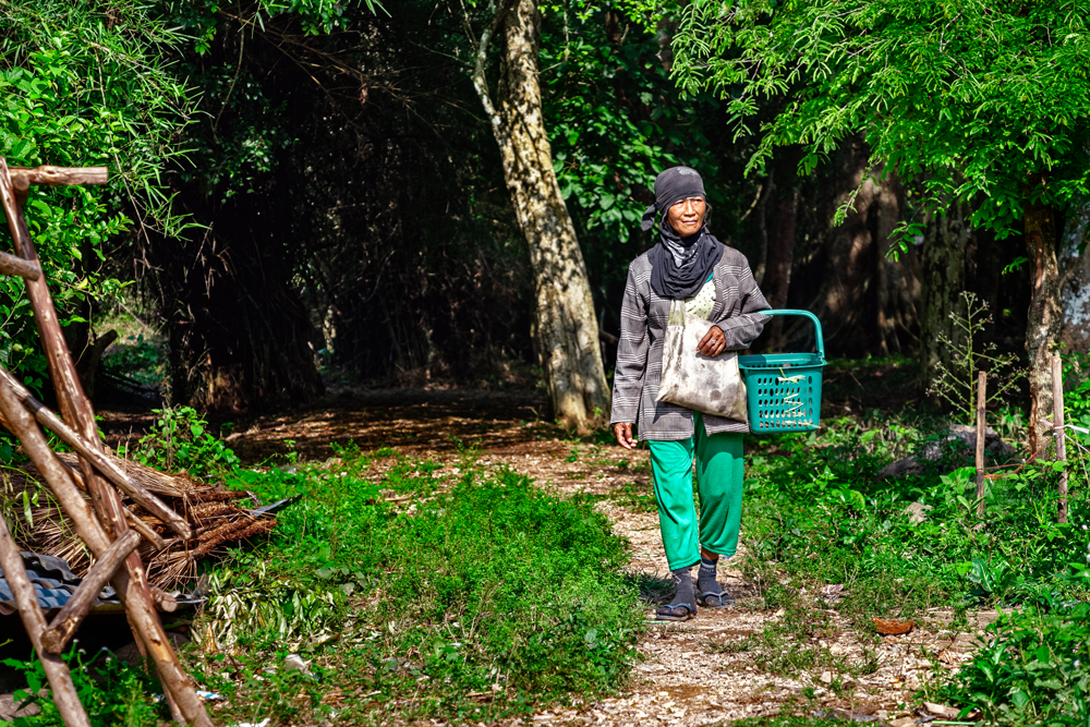 An elderly woman heads into a forest, Lao People’s Democratic Republic