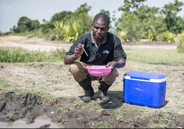 Man testing water for mosquito larvae
