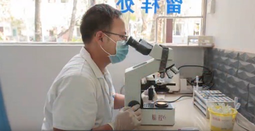 Man looking into microscope for malaria parasites