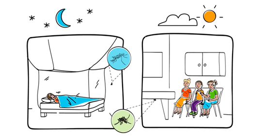 Illustration video on indoor residual spraying