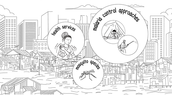 Illustration pour la vidéo sur le paludisme en zone urbaine