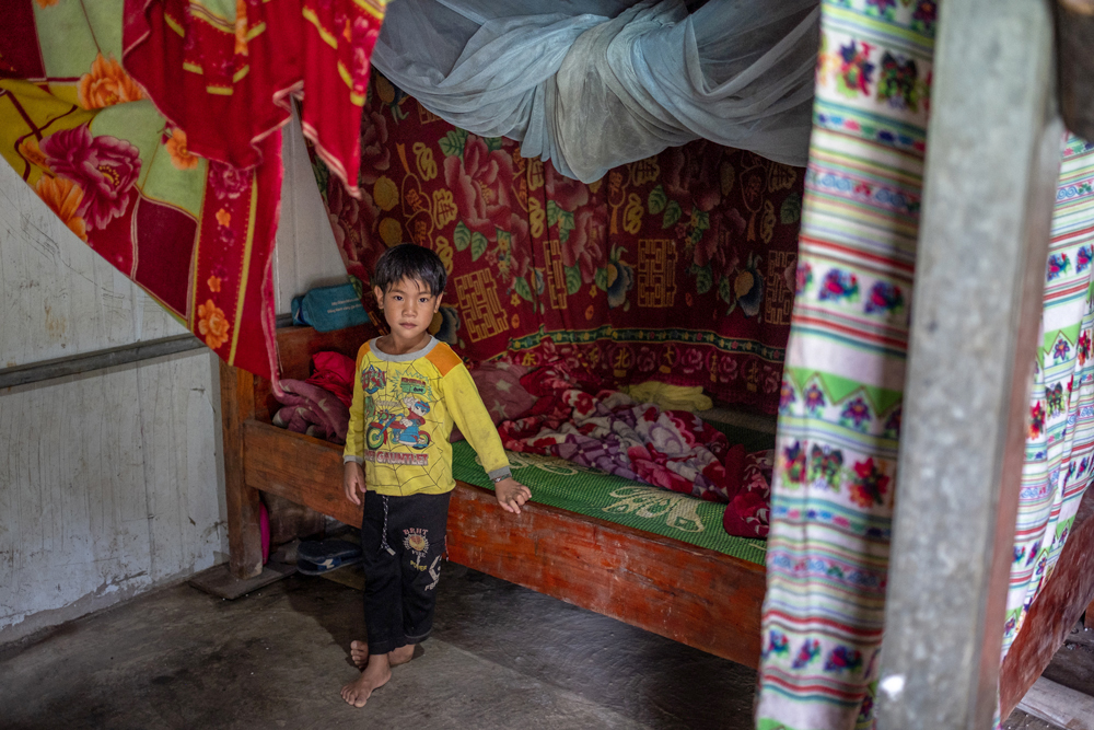 Portrait of a young boy