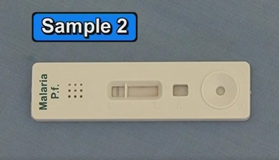 Exercise 1 Q&A2