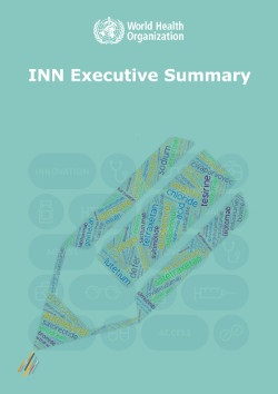 Icons_INN_Executive Icons INN Executive Summary