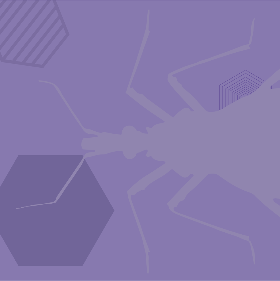 World Chagas Disease Day 2025 - Decorative image