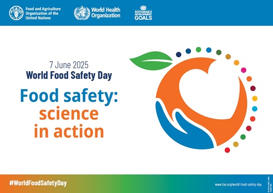 WFSD 2025 poster horizontal