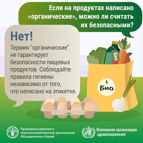 WFSD 2025 карта социальных сетей - органические