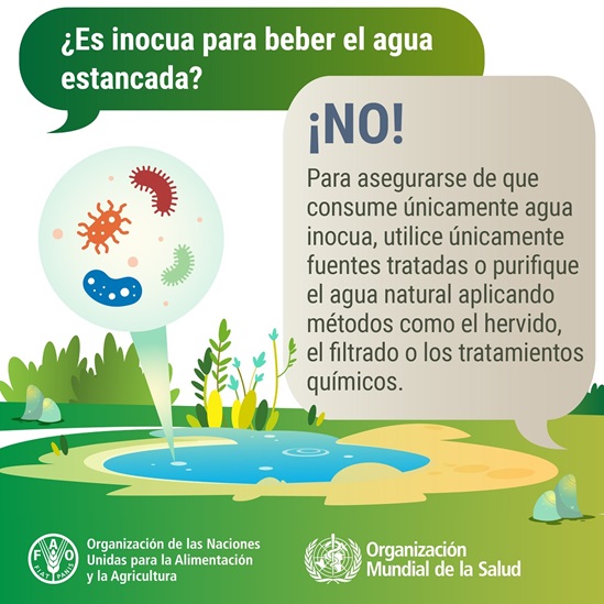 WFSD 2025 tarjeta de medios sociales - inocua para beber el agua estancada
