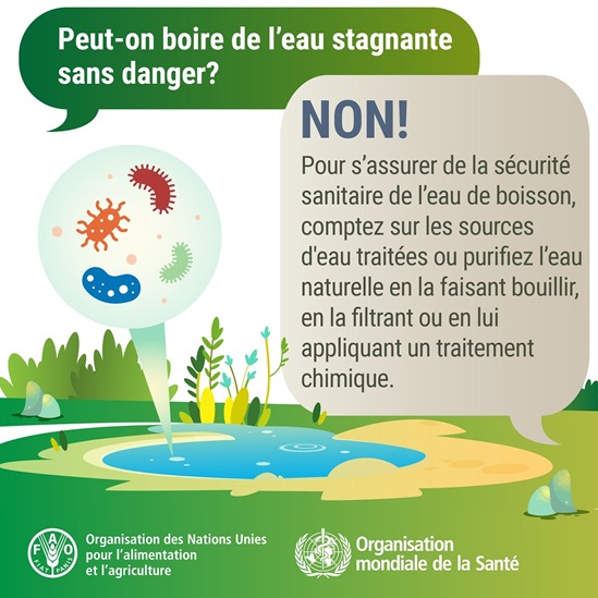 WFSD 2025 carte des médias sociaux - l'eau stagnante est potable