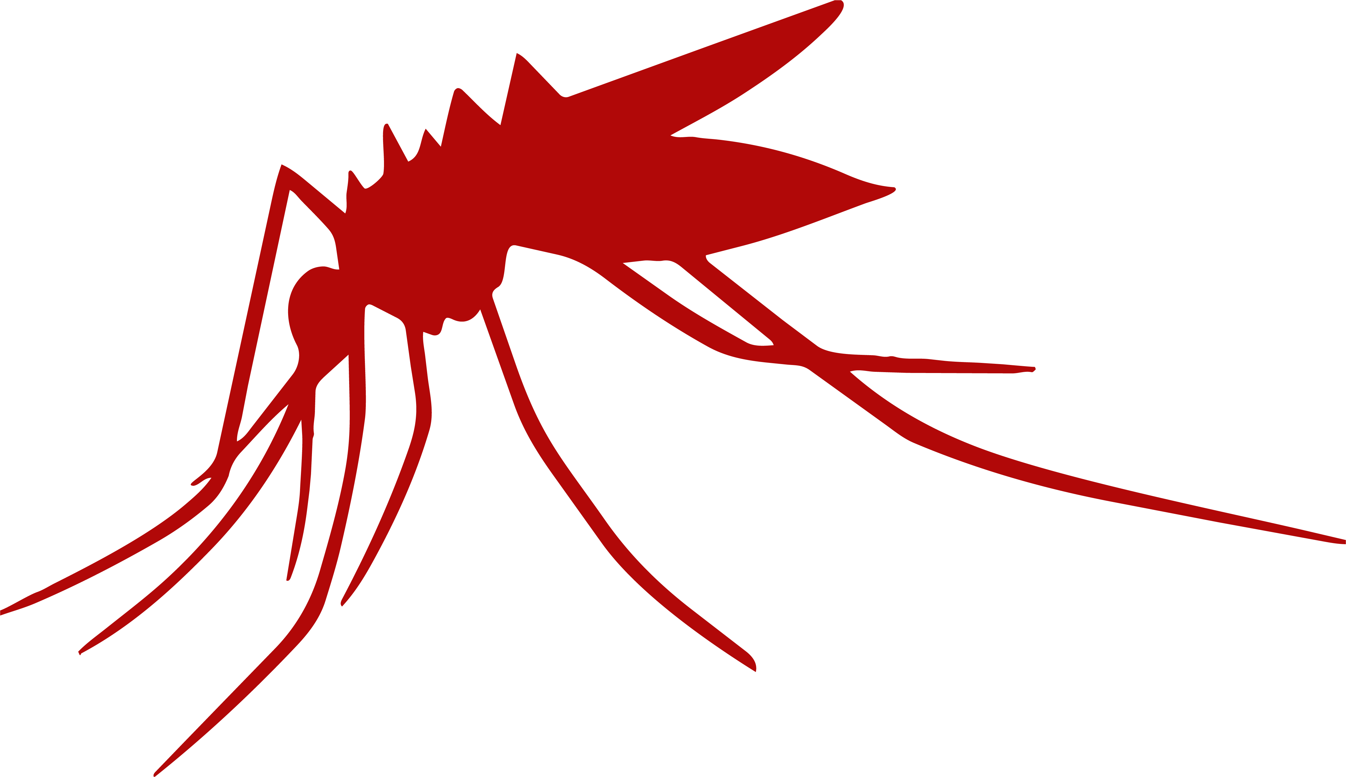 Mosquito-wmd2026