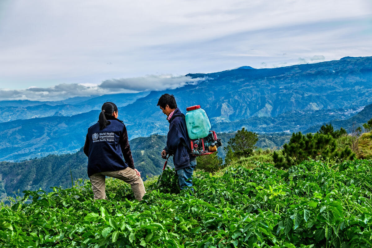 A WHO staff in the field talking to a farmer spraying pesticide to prevent potatoes from rotting.