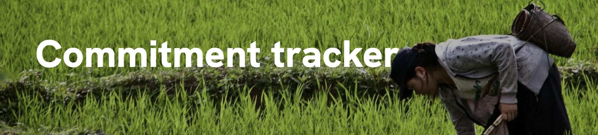 Commitments tracker