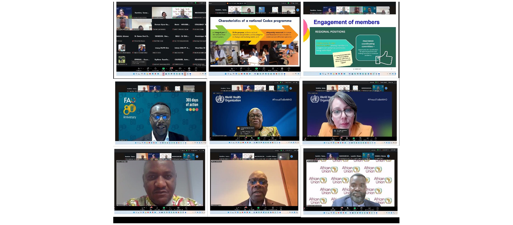 CTF / Continental webinar showcases best practices in Africa and impact of Codex Trust Fund support photo